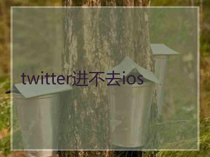 twitter进不去ios