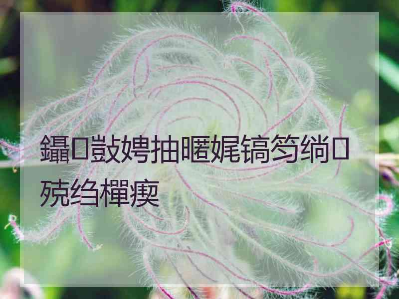 鑷敱娉抽暱娓镐笉绱殑绉樿瘈