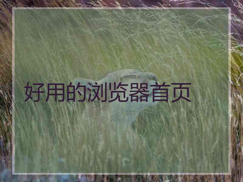 好用的浏览器首页