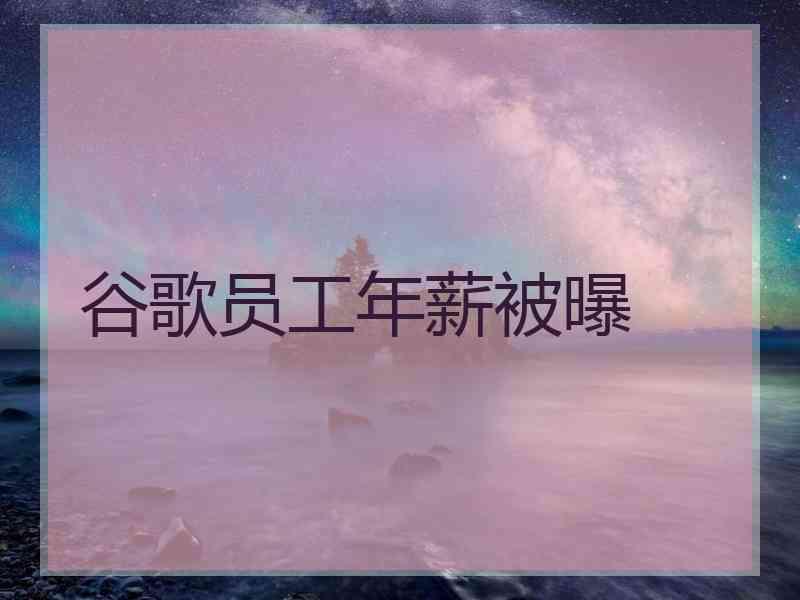 谷歌员工年薪被曝