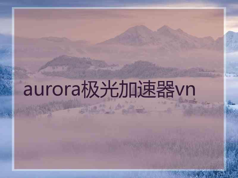 aurora极光加速器vn