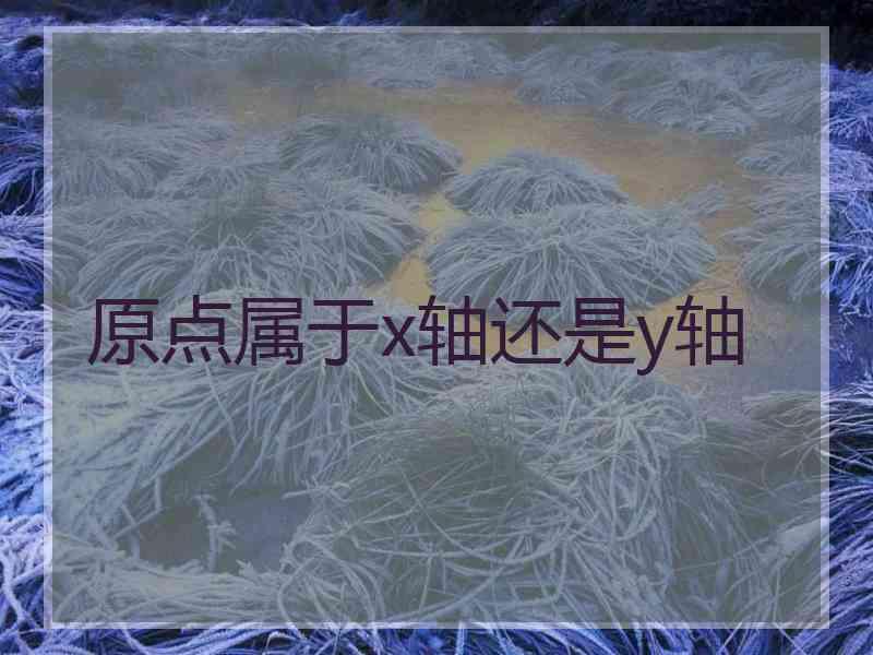 原点属于x轴还是y轴