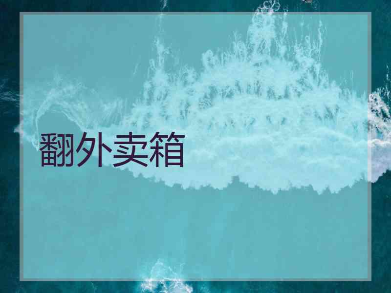 翻外卖箱