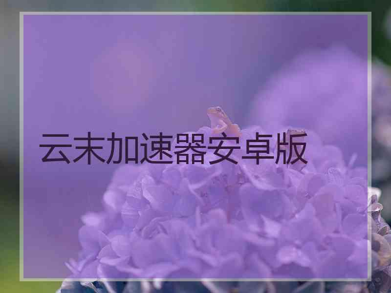 云末加速器安卓版