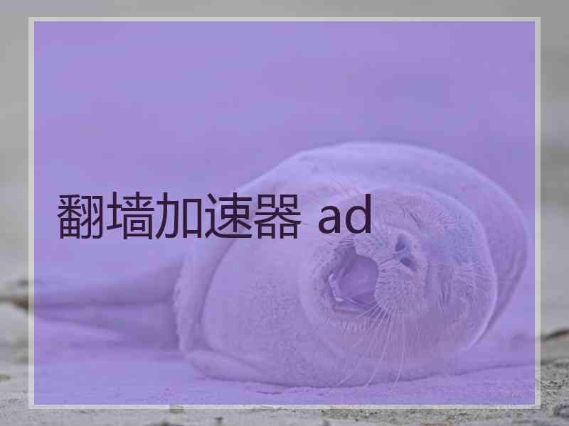 翻墙加速器 ad