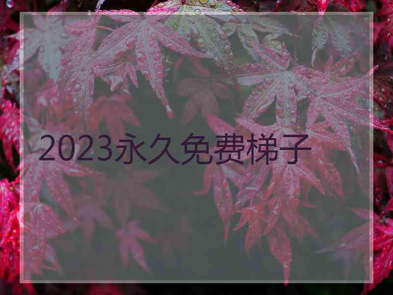 2023永久免费梯子
