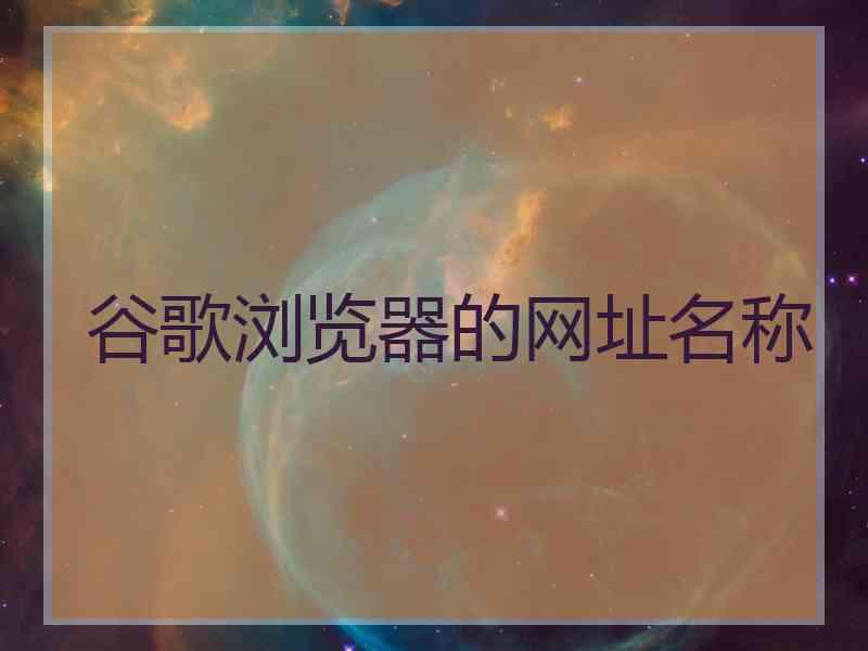 谷歌浏览器的网址名称