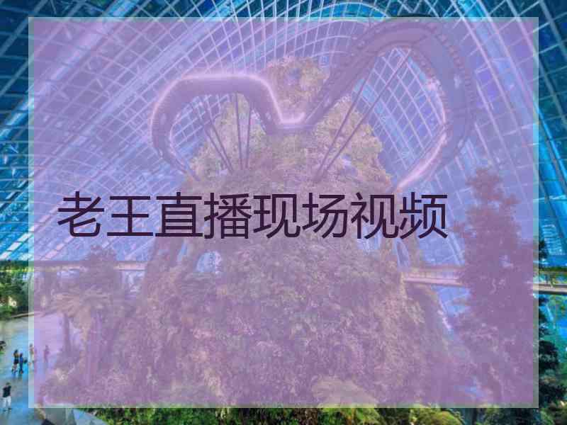 老王直播现场视频