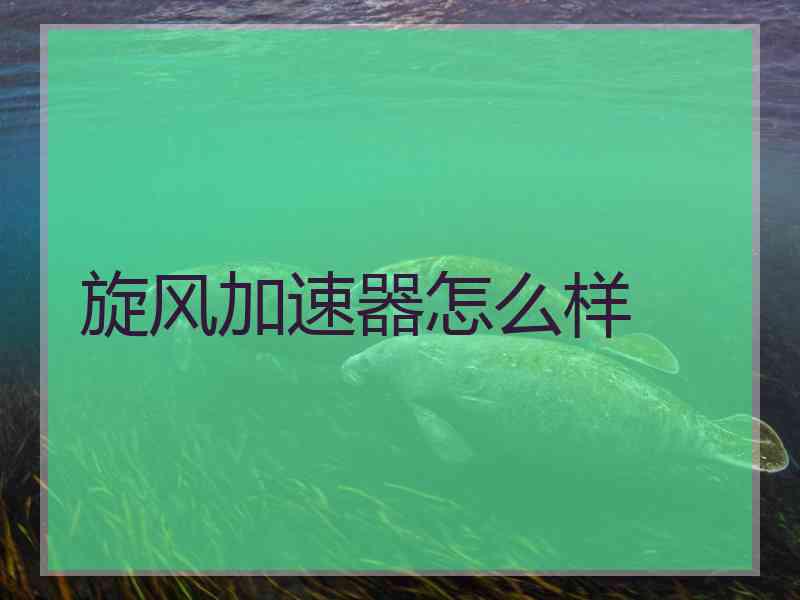 旋风加速器怎么样