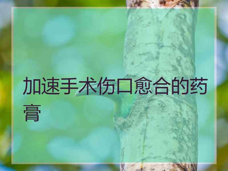 加速手术伤口愈合的药膏