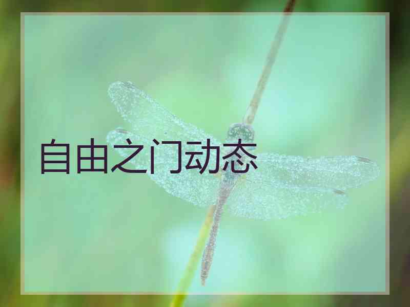 自由之门动态