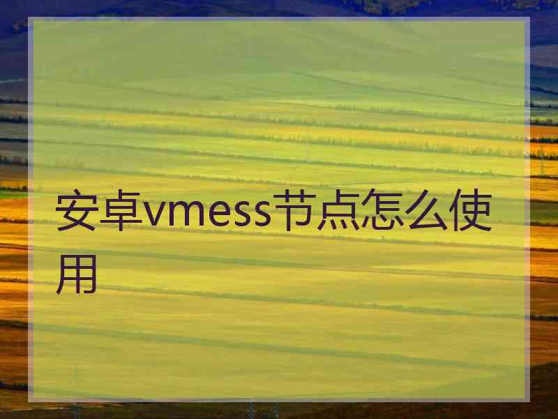 安卓vmess节点怎么使用