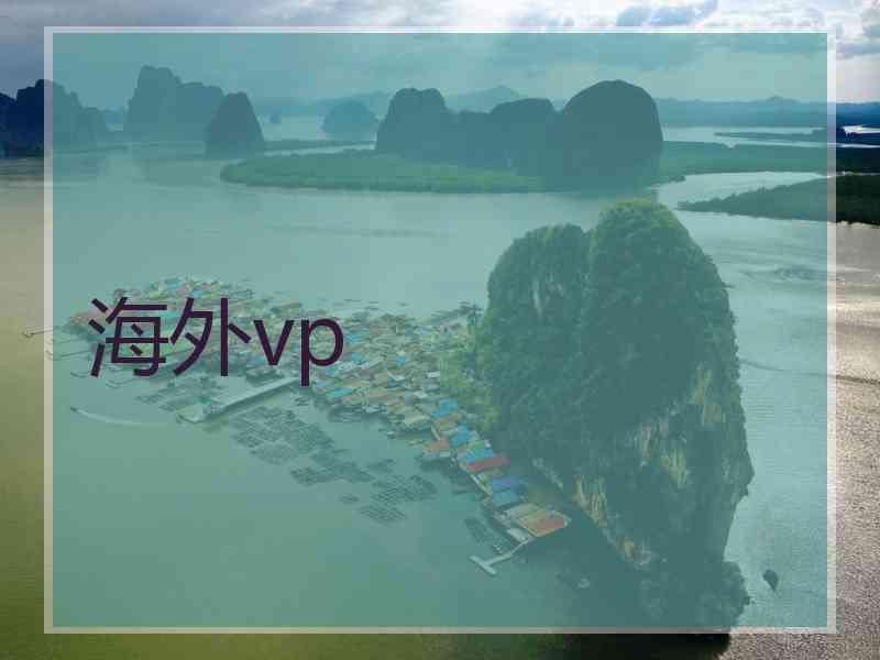 海外vp