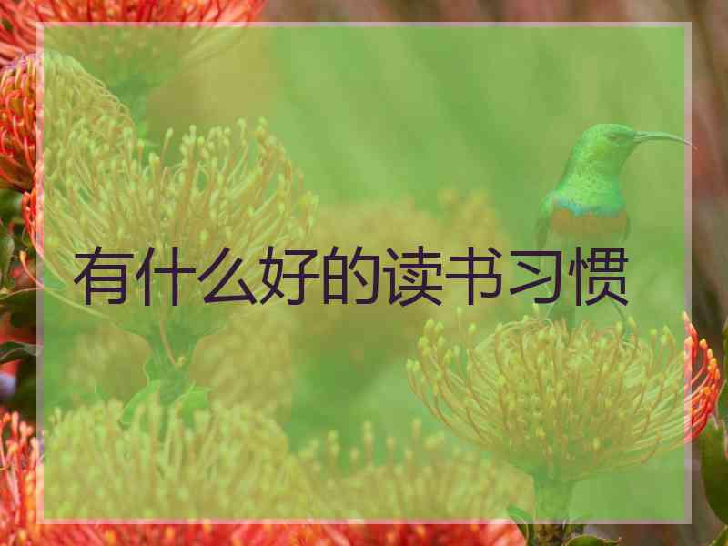 有什么好的读书习惯