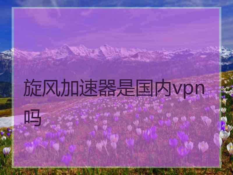 旋风加速器是国内vpn吗