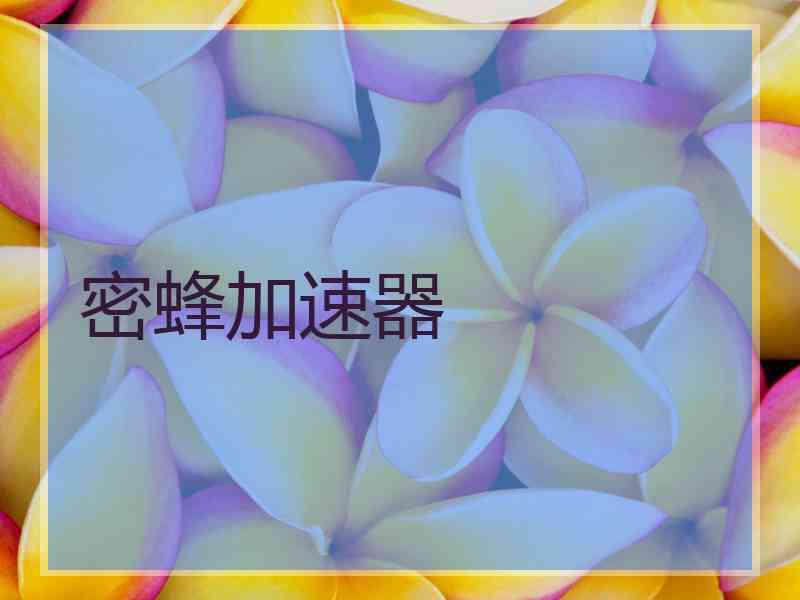 密蜂加速器