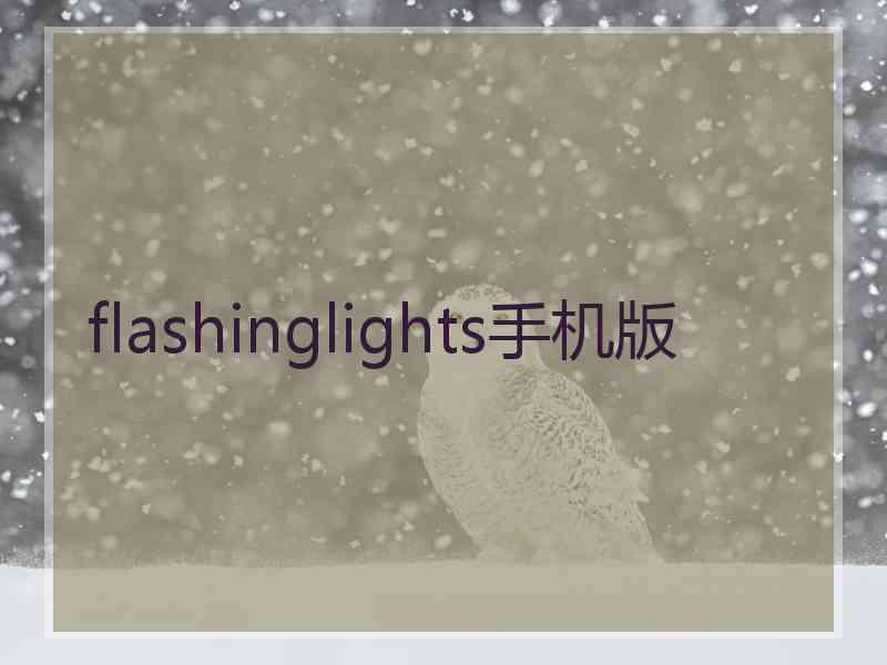 flashinglights手机版