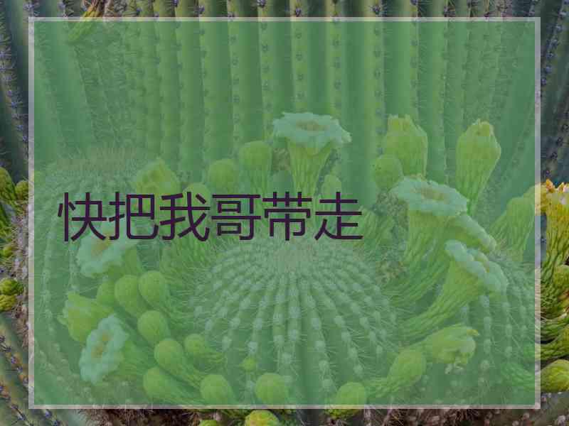 快把我哥带走