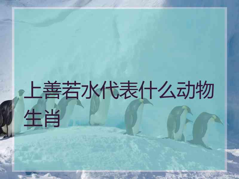 上善若水代表什么动物生肖