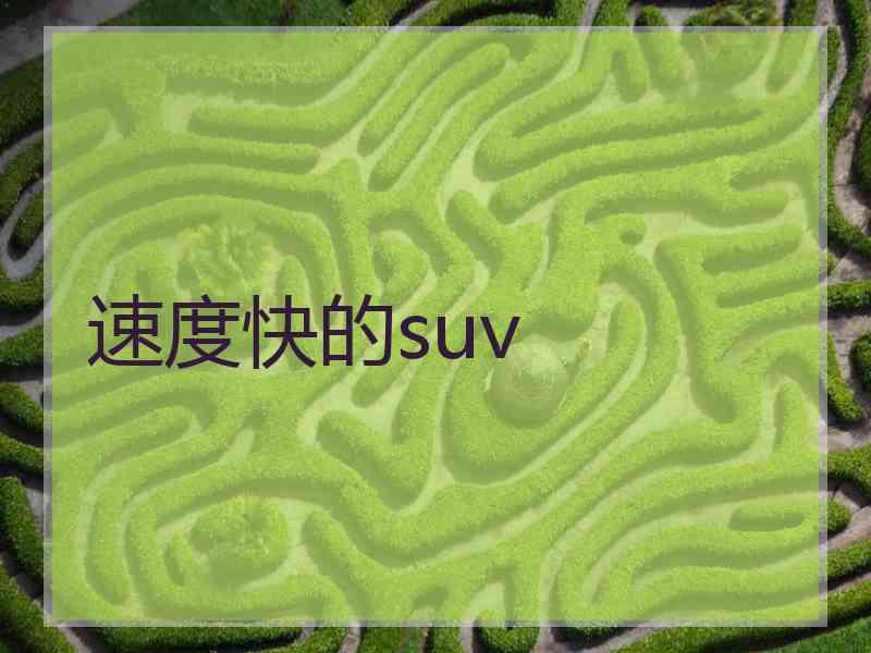 速度快的suv
