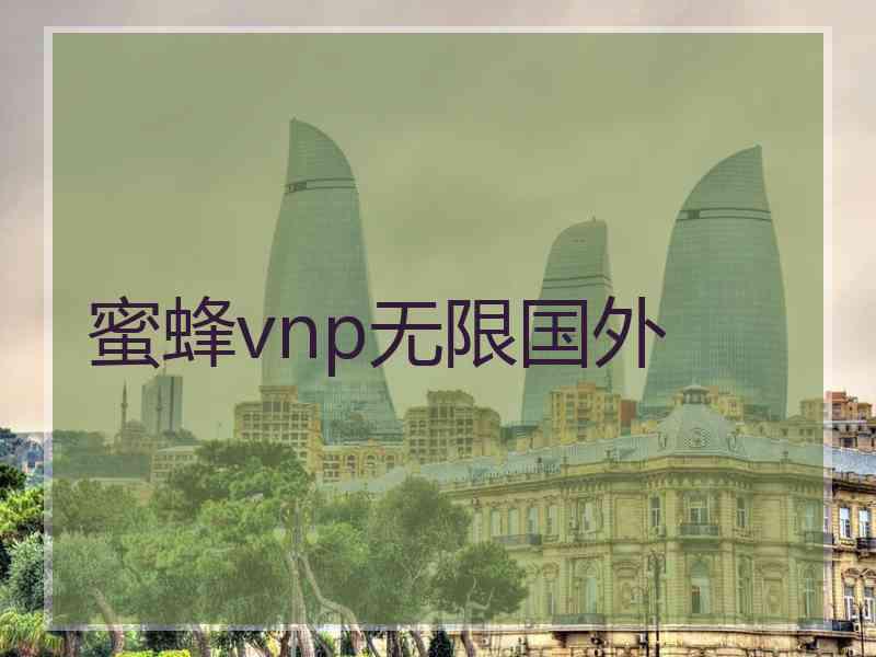 蜜蜂vnp无限国外