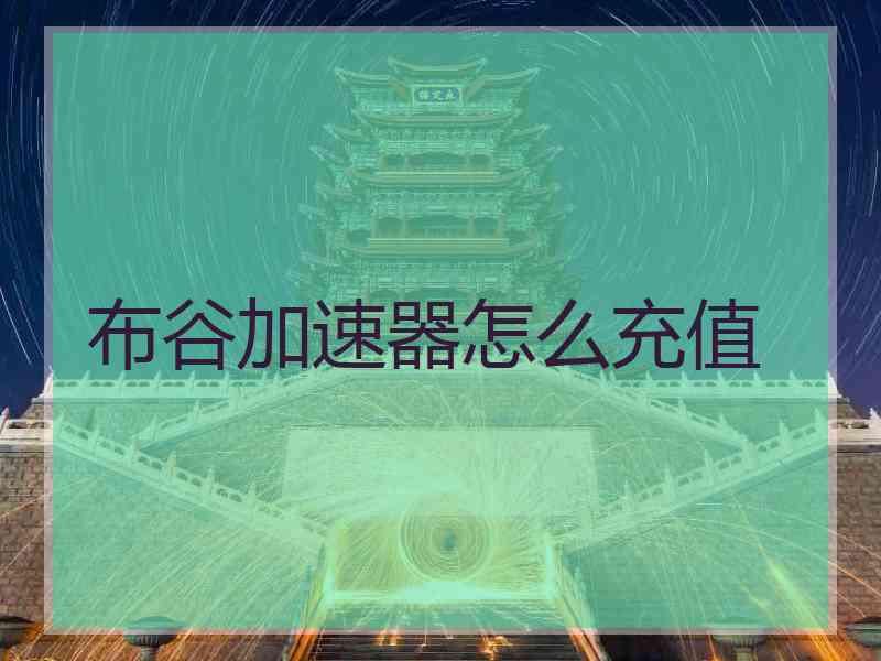 布谷加速器怎么充值