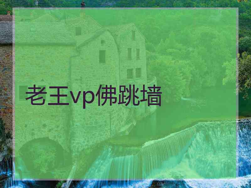 老王vp佛跳墙