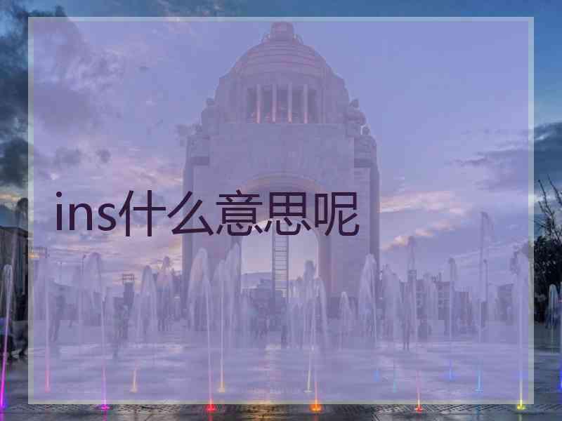 ins什么意思呢