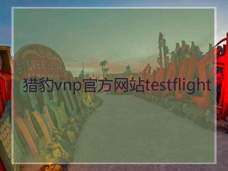 猎豹vnp官方网站testflight
