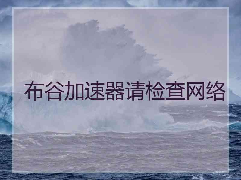 布谷加速器请检查网络