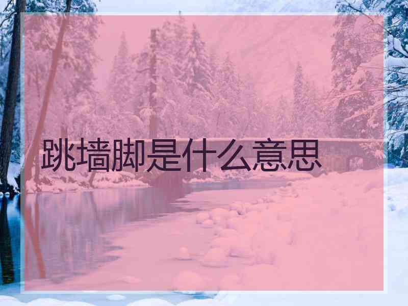 跳墙脚是什么意思