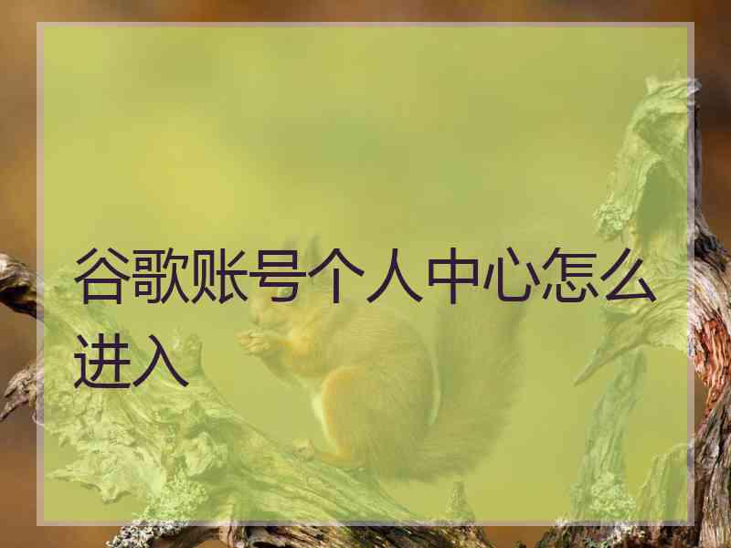 谷歌账号个人中心怎么进入