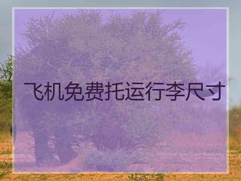 飞机免费托运行李尺寸