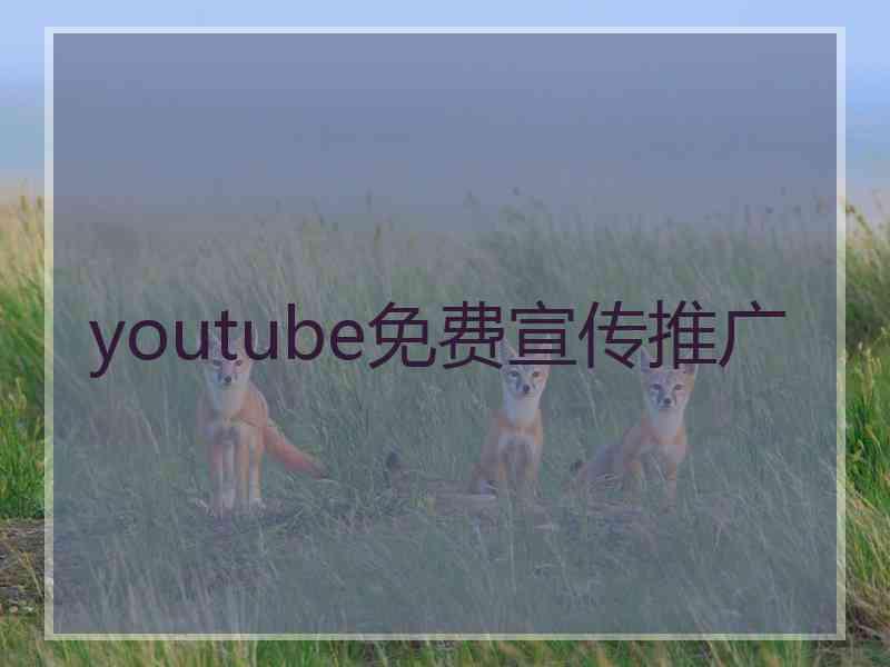 youtube免费宣传推广