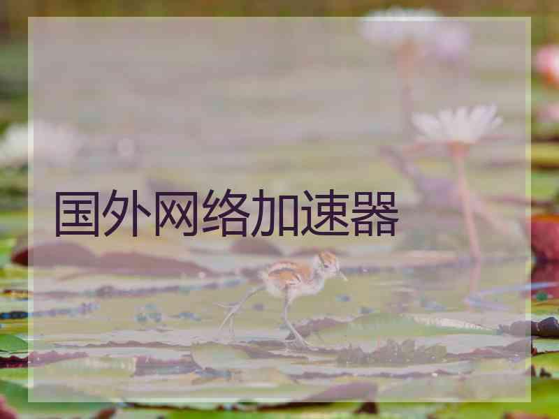 国外网络加速器