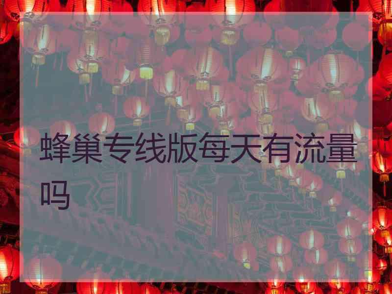 蜂巢专线版每天有流量吗