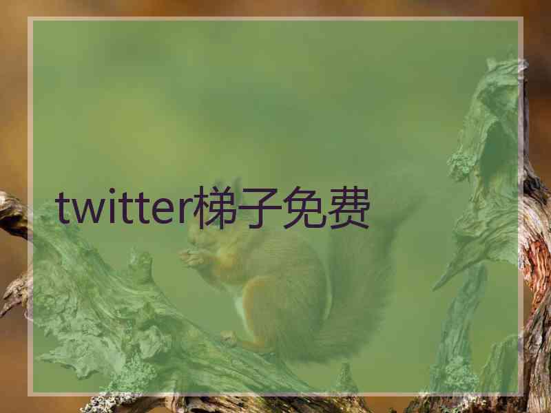 twitter梯子免费