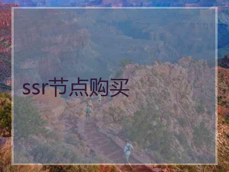 ssr节点购买