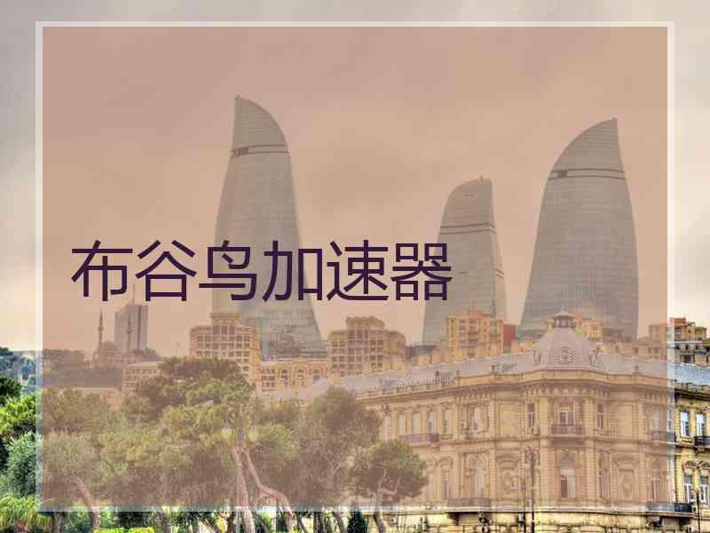 布谷鸟加速器