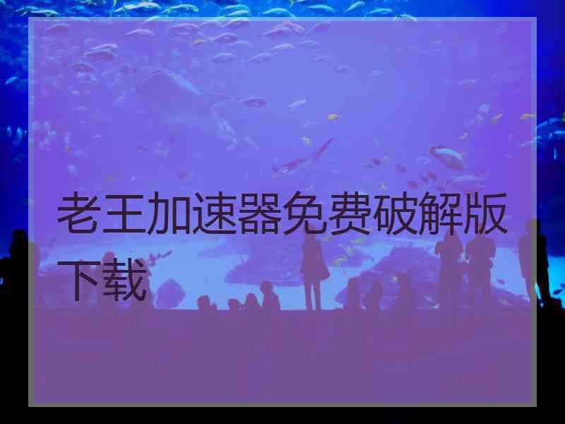 老王加速器免费破解版下载