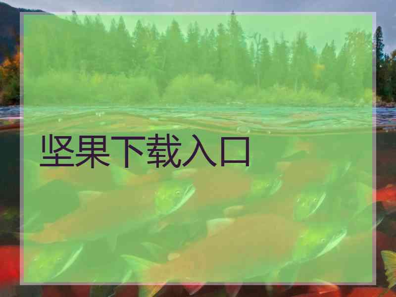 坚果下载入口