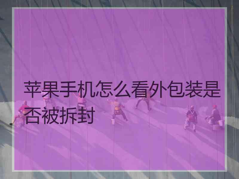 苹果手机怎么看外包装是否被拆封