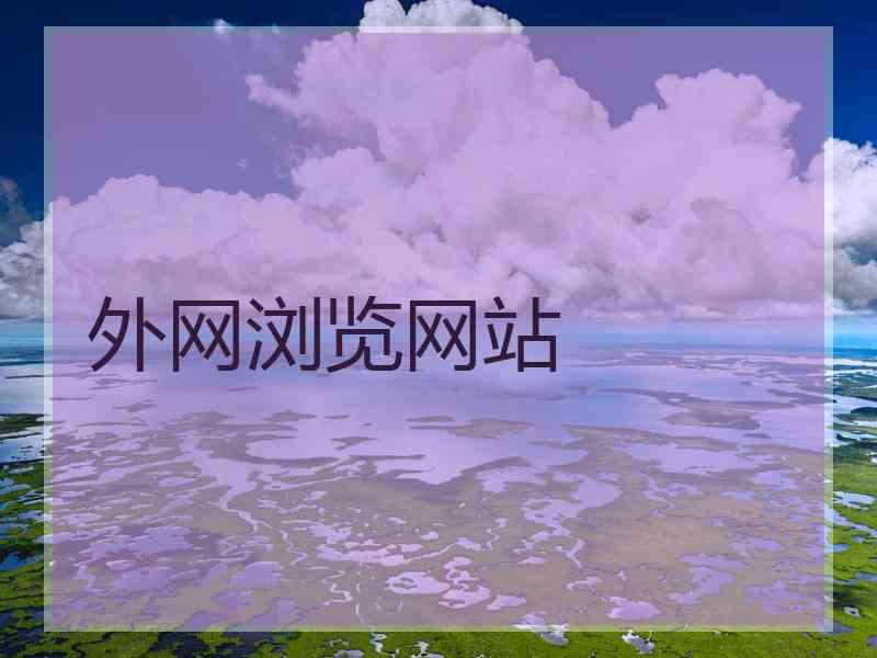 外网浏览网站