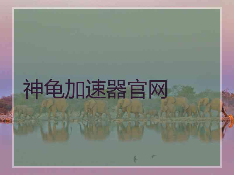 神龟加速器官网