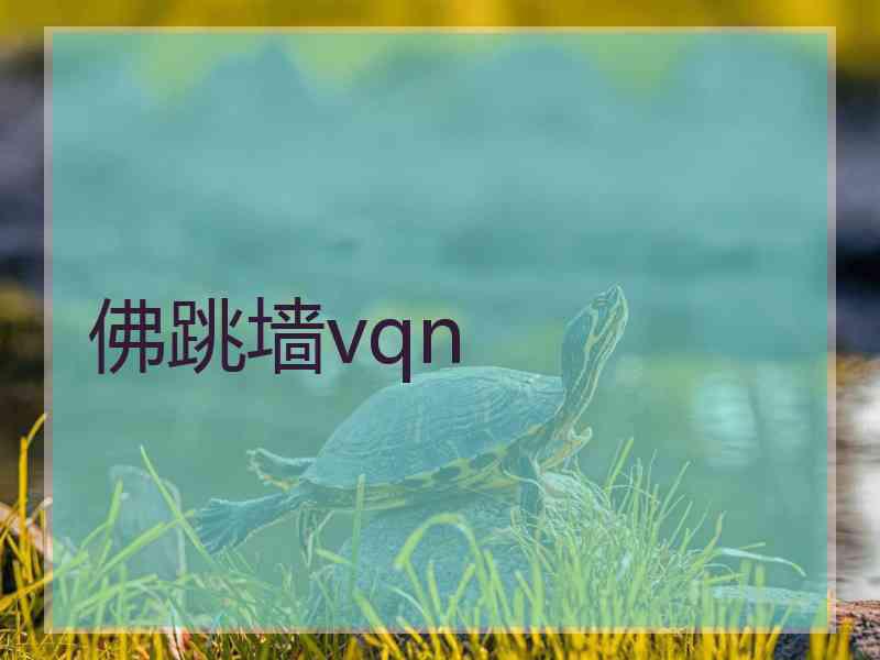 佛跳墙vqn