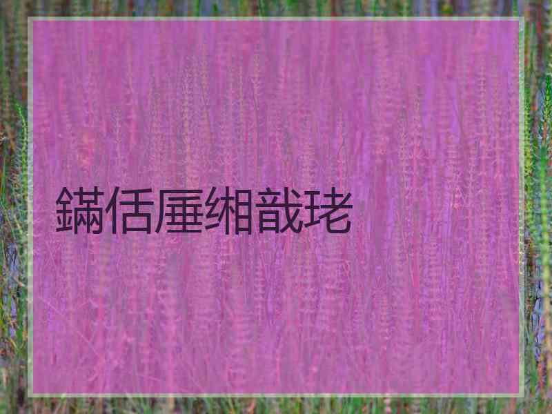 鏋佸厜缃戠珯