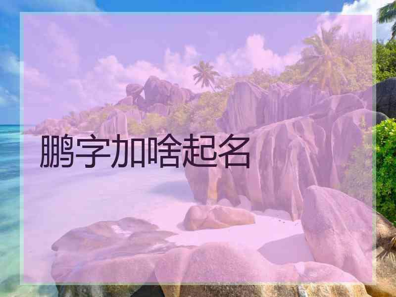 鹏字加啥起名