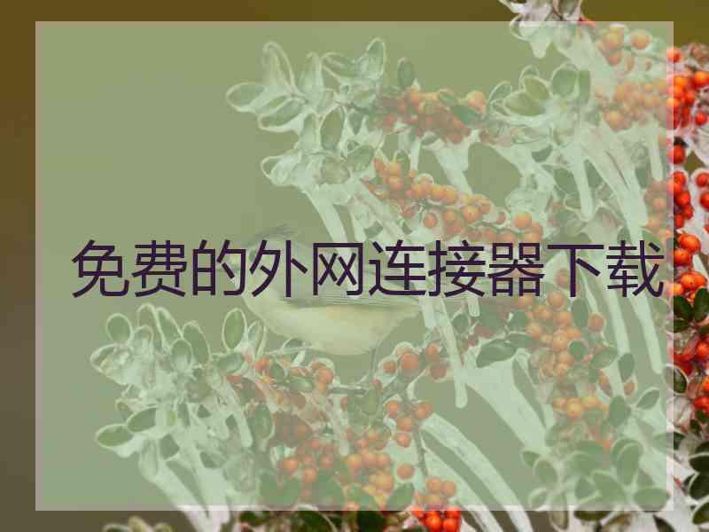 免费的外网连接器下载