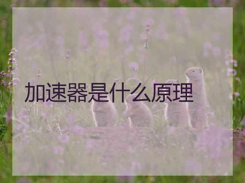 加速器是什么原理