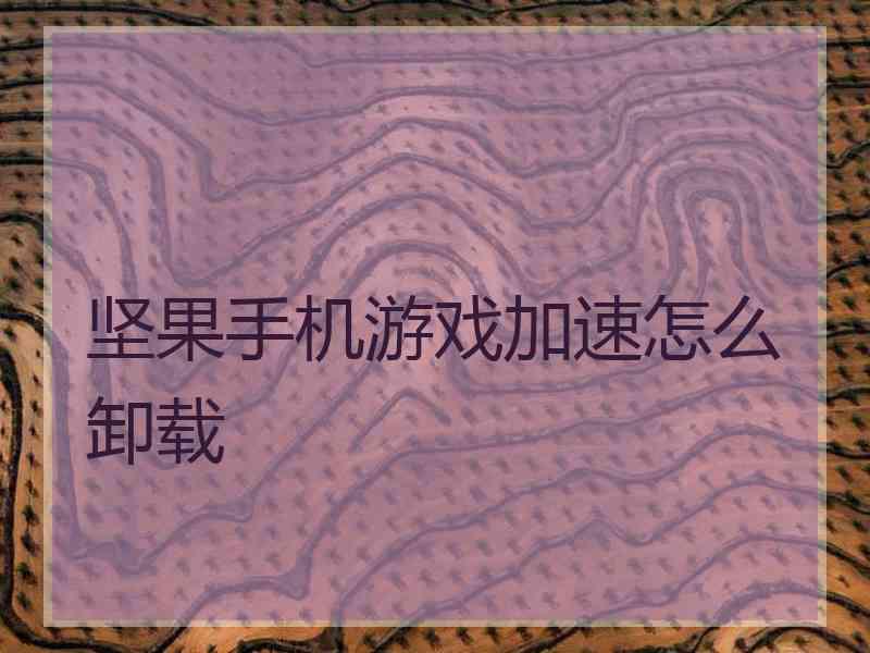 坚果手机游戏加速怎么卸载